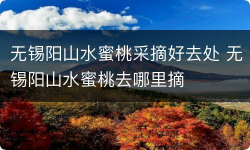 无锡阳山水蜜桃采摘好去处 无锡阳山水蜜桃去哪里摘