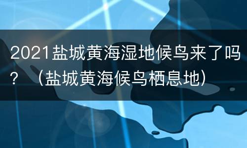 2021盐城黄海湿地候鸟来了吗？（盐城黄海候鸟栖息地）
