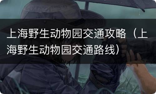 上海野生动物园交通攻略（上海野生动物园交通路线）