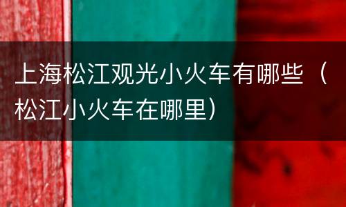 上海松江观光小火车有哪些（松江小火车在哪里）