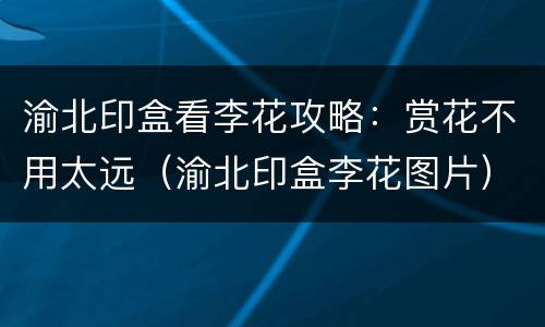 渝北印盒看李花攻略：赏花不用太远（渝北印盒李花图片）