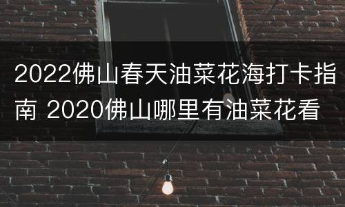 2022佛山春天油菜花海打卡指南 2020佛山哪里有油菜花看