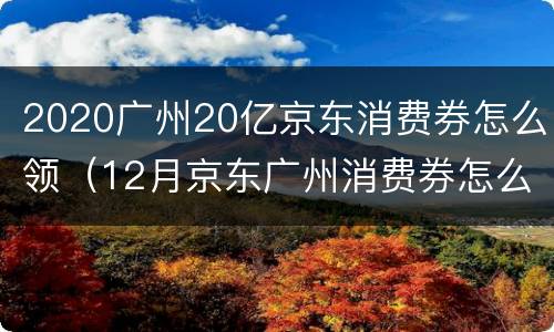 2020广州20亿京东消费券怎么领（12月京东广州消费券怎么领）