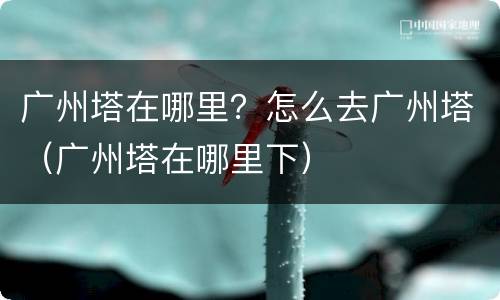 广州塔在哪里？怎么去广州塔（广州塔在哪里下）
