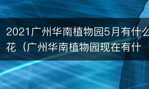 2021广州华南植物园5月有什么花（广州华南植物园现在有什么花）