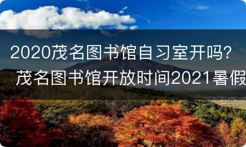 2020茂名图书馆自习室开吗？ 茂名图书馆开放时间2021暑假