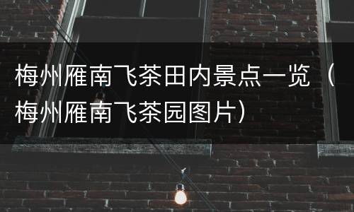 梅州雁南飞茶田内景点一览（梅州雁南飞茶园图片）