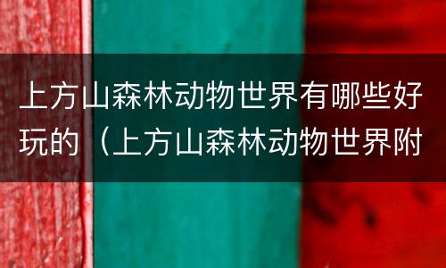 上方山森林动物世界有哪些好玩的（上方山森林动物世界附近景点）