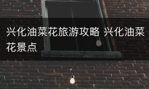 兴化油菜花旅游攻略 兴化油菜花景点