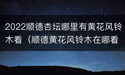 2022顺德杏坛哪里有黄花风铃木看（顺德黄花风铃木在哪看）