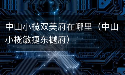 中山小榄双美府在哪里（中山小榄敏捷东樾府）