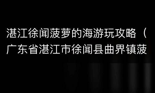 湛江徐闻菠萝的海游玩攻略（广东省湛江市徐闻县曲界镇菠萝的海）