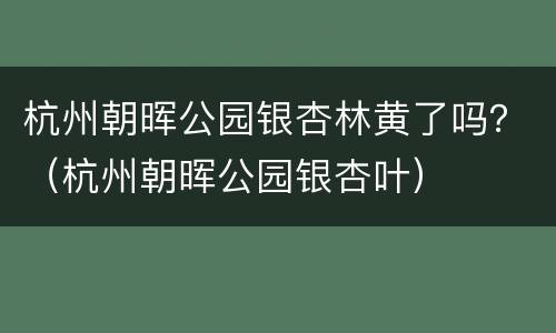 杭州朝晖公园银杏林黄了吗？（杭州朝晖公园银杏叶）