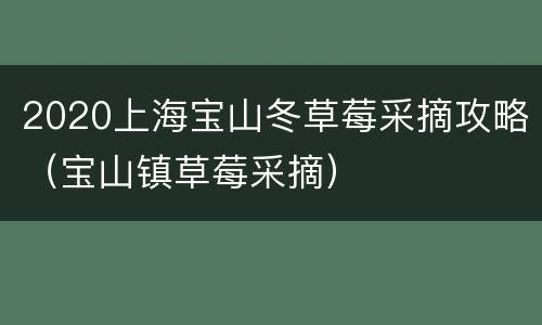 2020上海宝山冬草莓采摘攻略（宝山镇草莓采摘）