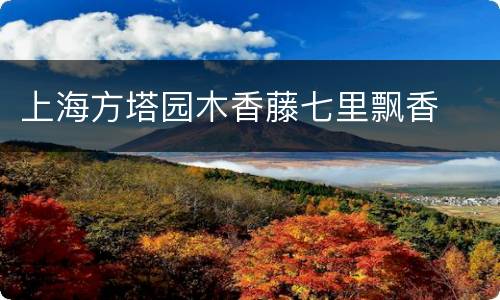上海方塔园木香藤七里飘香