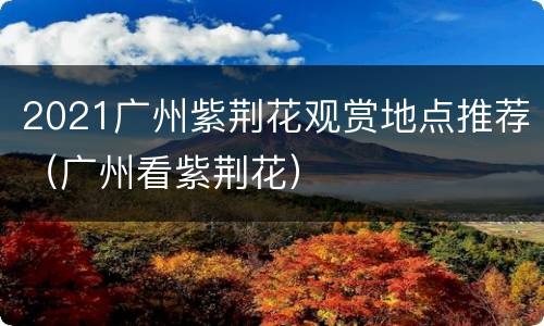 2021广州紫荆花观赏地点推荐（广州看紫荆花）