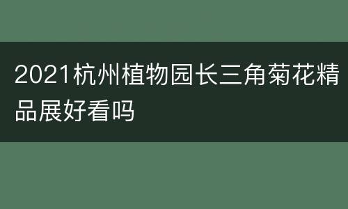 2021杭州植物园长三角菊花精品展好看吗