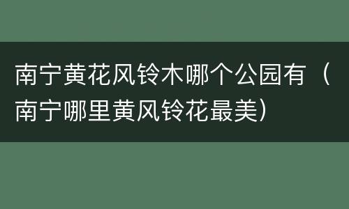 南宁黄花风铃木哪个公园有（南宁哪里黄风铃花最美）