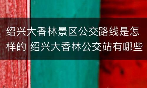 绍兴大香林景区公交路线是怎样的 绍兴大香林公交站有哪些公交车?