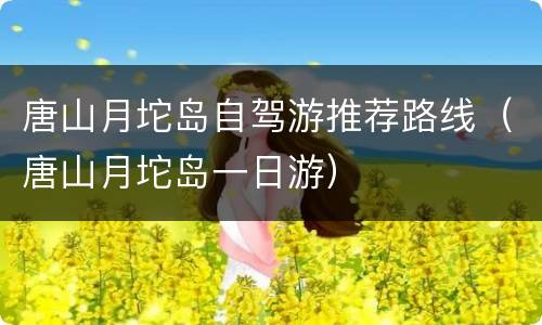 唐山月坨岛自驾游推荐路线（唐山月坨岛一日游）