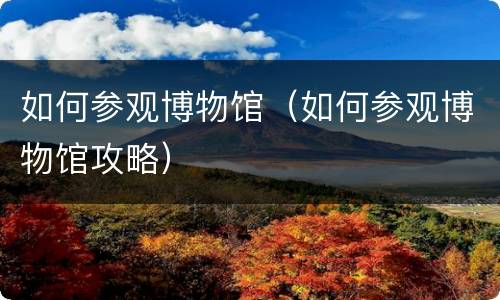 如何参观博物馆（如何参观博物馆攻略）