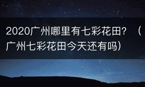 2020广州哪里有七彩花田？（广州七彩花田今天还有吗）