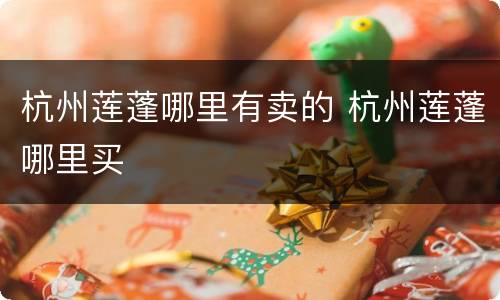 杭州莲蓬哪里有卖的 杭州莲蓬哪里买