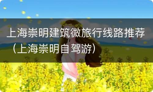 上海崇明建筑微旅行线路推荐（上海崇明自驾游）