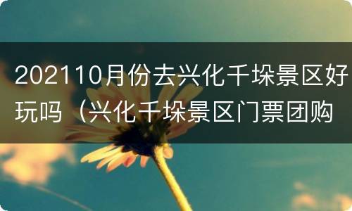 202110月份去兴化千垛景区好玩吗（兴化千垛景区门票团购）
