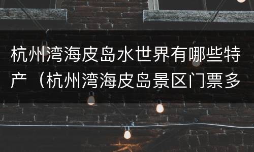 杭州湾海皮岛水世界有哪些特产（杭州湾海皮岛景区门票多少钱）