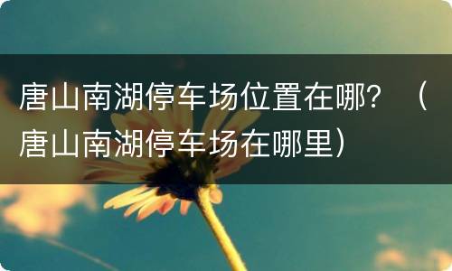 唐山南湖停车场位置在哪？（唐山南湖停车场在哪里）