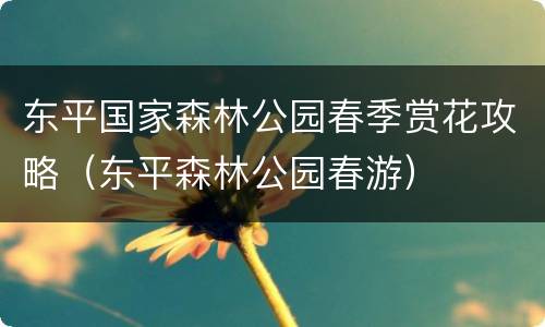 东平国家森林公园春季赏花攻略（东平森林公园春游）