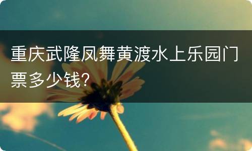 重庆武隆凤舞黄渡水上乐园门票多少钱?