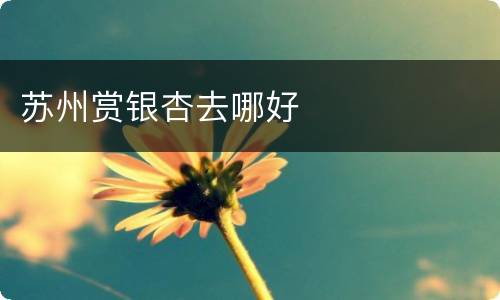 苏州赏银杏去哪好