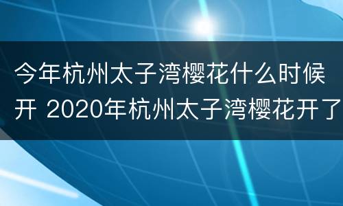 今年杭州太子湾樱花什么时候开 2020年杭州太子湾樱花开了吗
