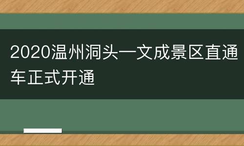2020温州洞头—文成景区直通车正式开通
