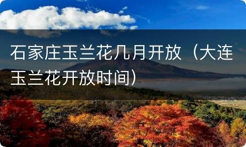 石家庄玉兰花几月开放（大连玉兰花开放时间）