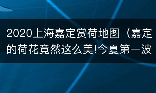 2020上海嘉定赏荷地图（嘉定的荷花竟然这么美!今夏第一波赏荷地图请收下）