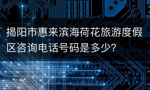 揭阳市惠来滨海荷花旅游度假区咨询电话号码是多少？