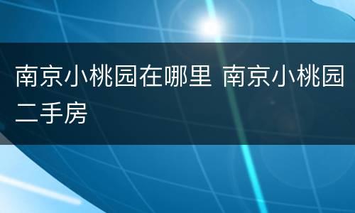 南京小桃园在哪里 南京小桃园二手房