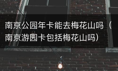 南京公园年卡能去梅花山吗（南京游园卡包括梅花山吗）