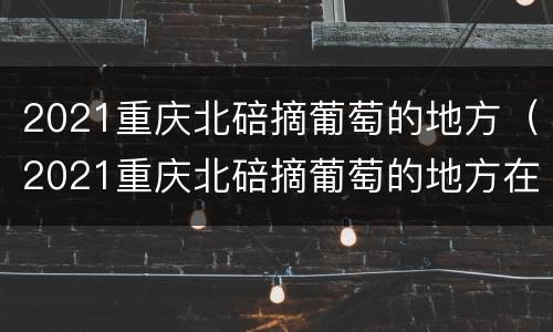2021重庆北碚摘葡萄的地方（2021重庆北碚摘葡萄的地方在哪）