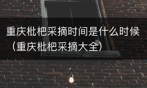 重庆枇杷采摘时间是什么时候（重庆枇杷采摘大全）