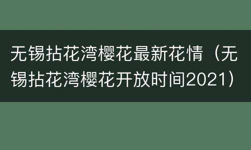 无锡拈花湾樱花最新花情（无锡拈花湾樱花开放时间2021）