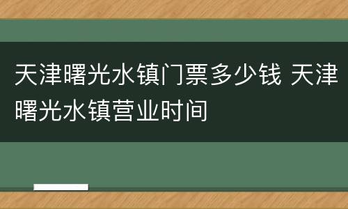 天津曙光水镇门票多少钱 天津曙光水镇营业时间