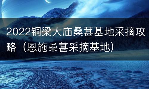 2022铜梁大庙桑葚基地采摘攻略（恩施桑葚采摘基地）