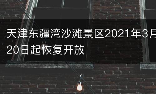 天津东疆湾沙滩景区2021年3月20日起恢复开放