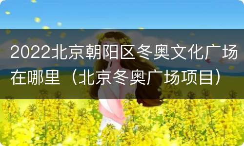 2022北京朝阳区冬奥文化广场在哪里（北京冬奥广场项目）