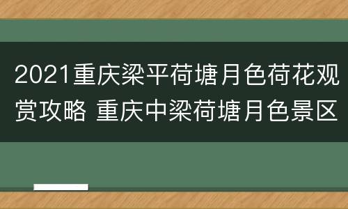 2021重庆梁平荷塘月色荷花观赏攻略 重庆中梁荷塘月色景区