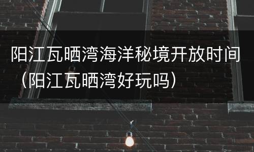 阳江瓦晒湾海洋秘境开放时间（阳江瓦晒湾好玩吗）